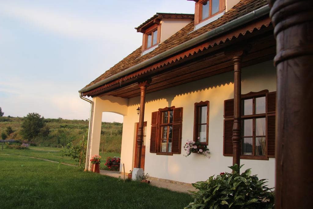 Maison d'hôtes Matievics Borászat és